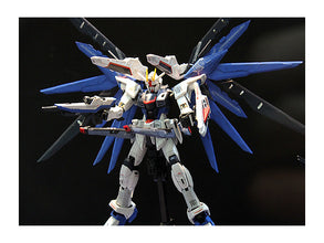 RG 1/144 Gundam SEED Series #5 Freedom ZGMF-X10A