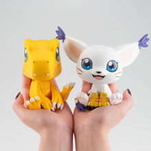 Lookup Digimon Adventure Agumon & Tailmon set [with gift]