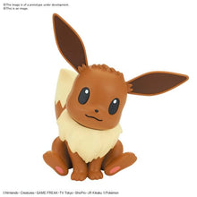 04 EEVEE Pokémon Model Kit Qucik!!