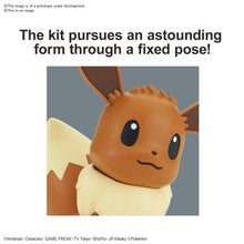 04 EEVEE Pokémon Model Kit Qucik!!