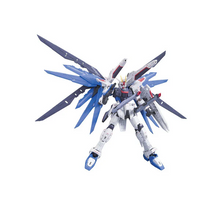 RG 1/144 Gundam SEED Series #5 Freedom ZGMF-X10A