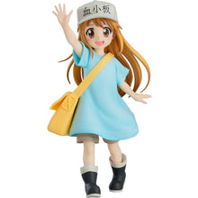 POP UP PARADE Platelet