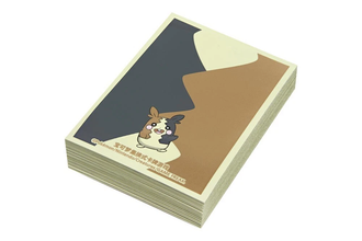 Pokemon TCG - 2024 CSEC Morpeko V-Union Gift Box Simplified Chinese