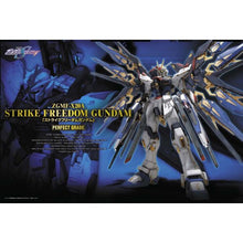 PG Strike Freedom Gundam 1/60 Model Kit