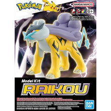 Raikou Pokemon Kit